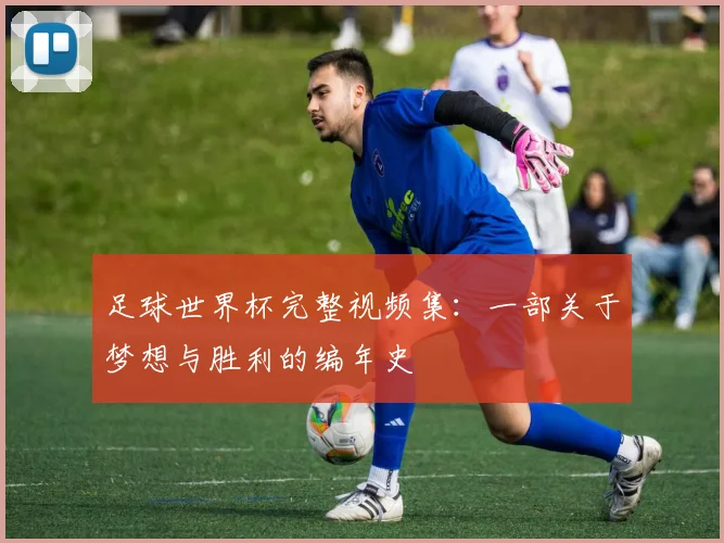 足球世界杯完整视频集:一部关于梦想与胜利的编年史