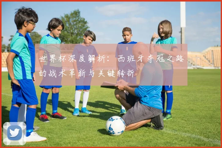 世界杯深度解析:西班牙夺冠之路的战术革新与关键转折