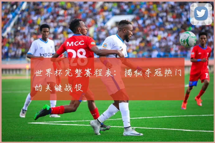 世界杯完整赛程表：揭秘夺冠热门的关键战役