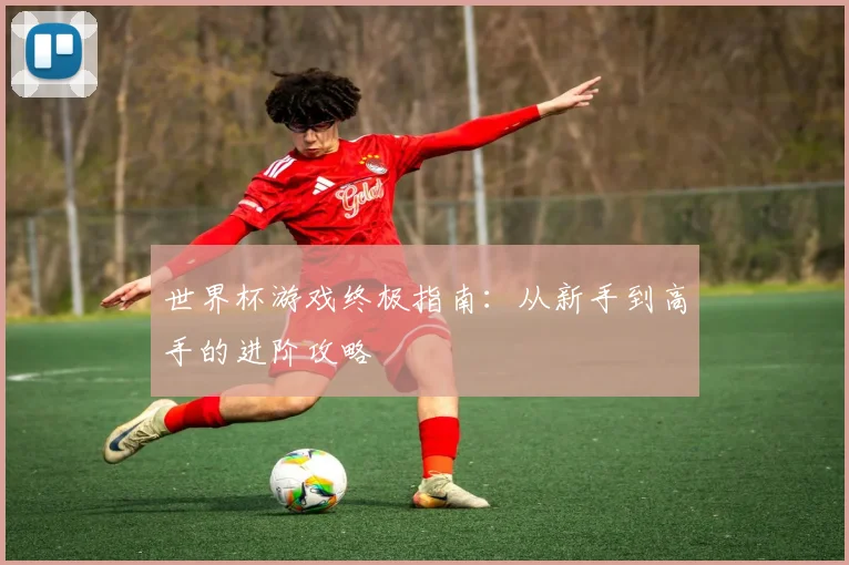 世界杯游戏终极指南:从新手到高手的进阶攻略