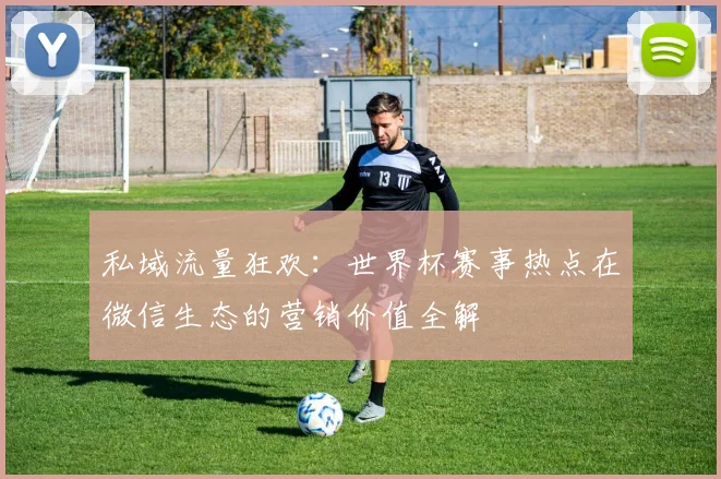 私域流量狂欢：世界杯赛事热点在微信生态的营销价值全解