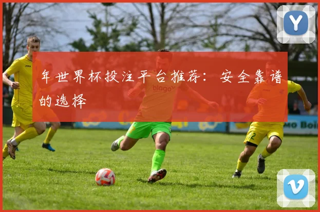 年世界杯投注平台推荐:安全靠谱的选择