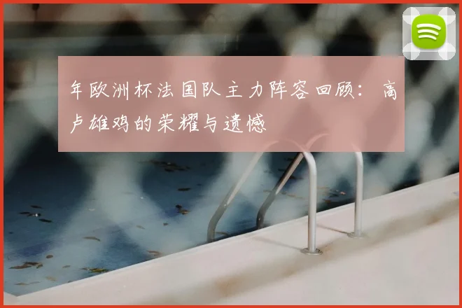年欧洲杯法国队主力阵容回顾:高卢雄鸡的荣耀与遗憾