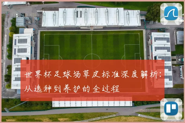世界杯足球场草皮标准深度解析：从选种到养护的全过程