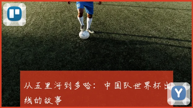 从五里河到多哈：中国队世界杯出线的故事