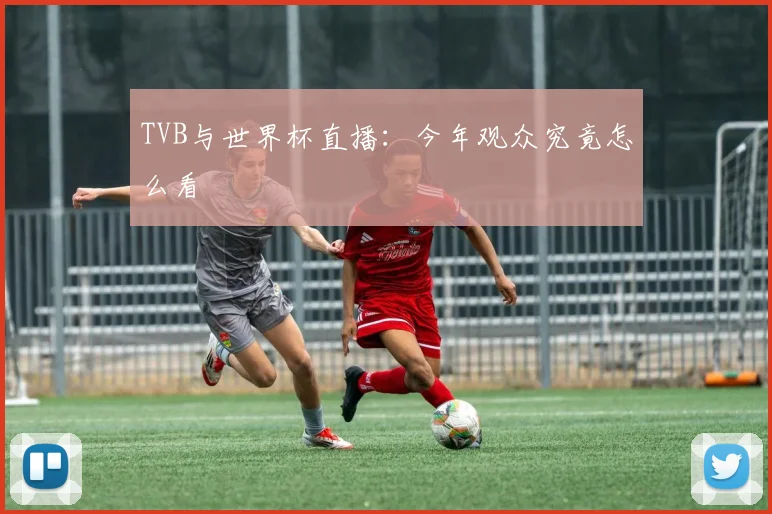 TVB与世界杯直播：今年观众究竟怎么看