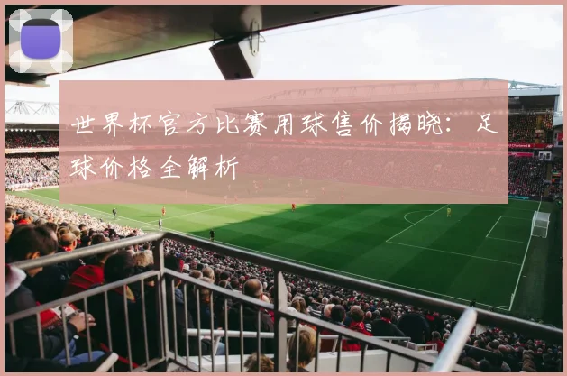 世界杯官方比赛用球售价揭晓：足球价格全解析