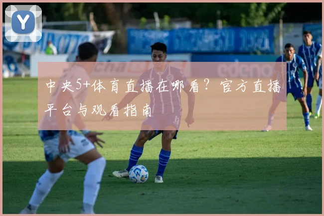中央5+体育直播在哪看？官方直播平台与观看指南
