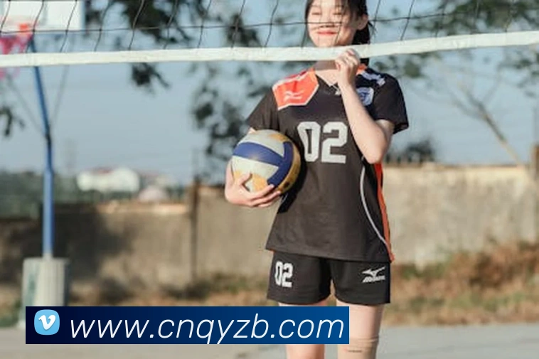 爱游戏手机软件官网平台生态图